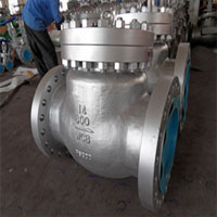 Super Duplex Gate Valve Manufacturer in India
